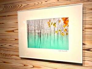 ケント白石氏の作品