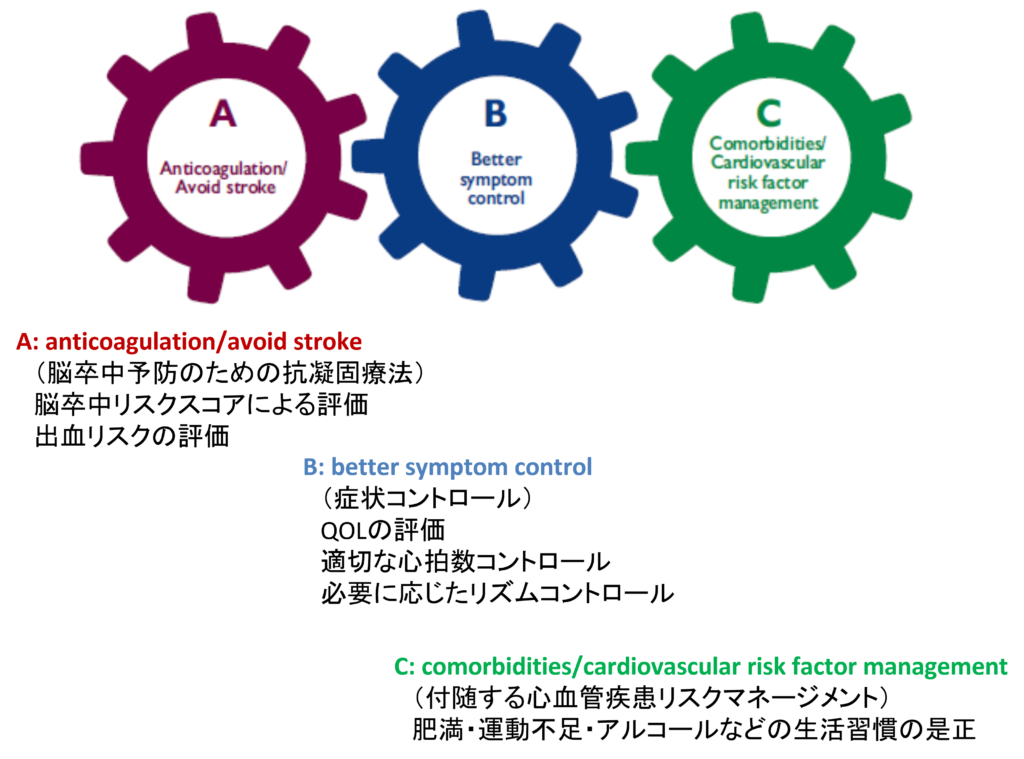 心房細動治療の三つの柱